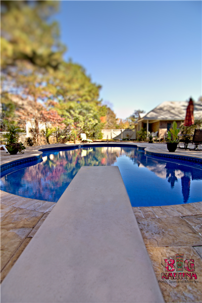 Mountain Pond with Diving Board, Artistic Pavers